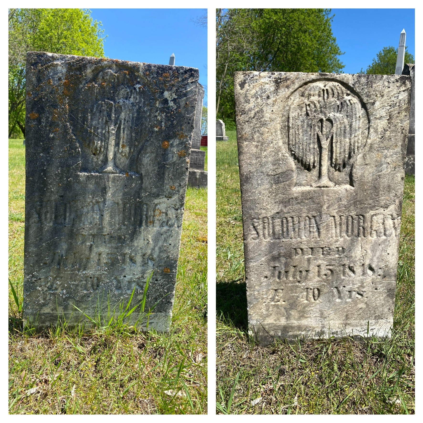 You are currently viewing Preservation Techniques for Historic Cemeteries