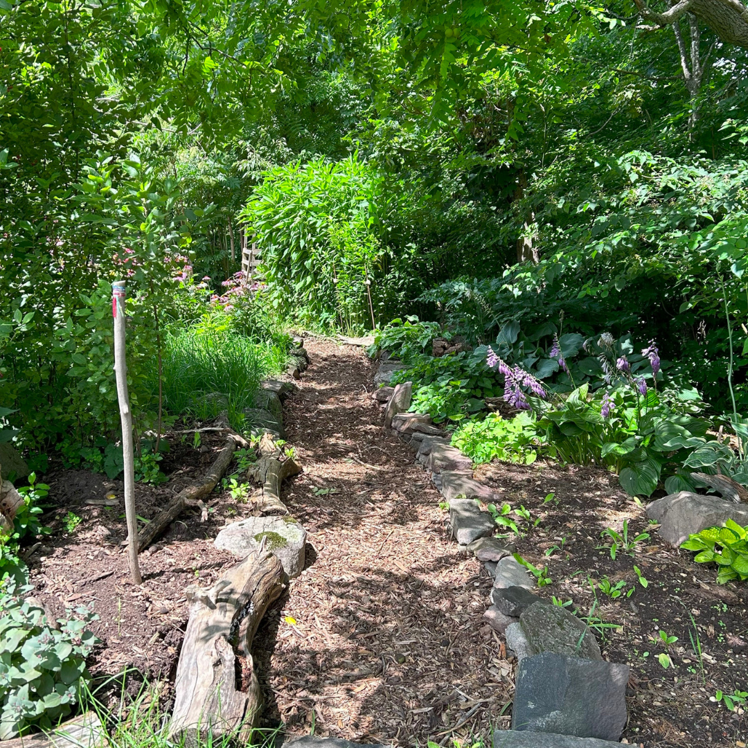 Sticks and Stones: Designing an Ecological North Country Garden