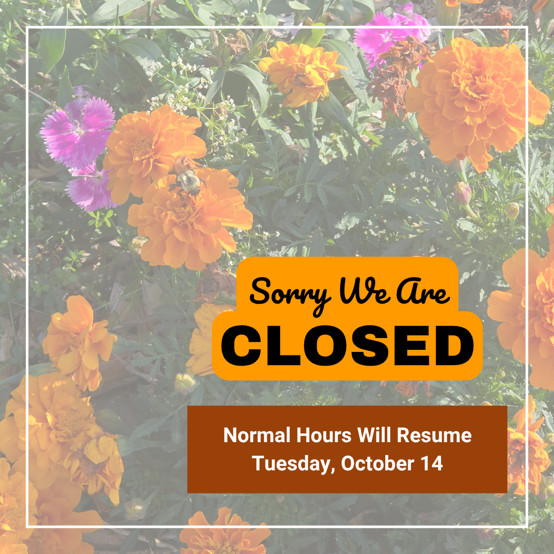 Read more about the article SLCCHC Will Be Closed on October 13
