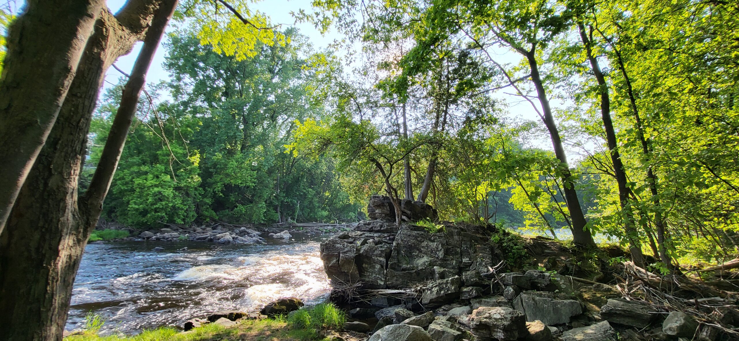 Exploring Falls Island Through Watercolors – Partnered Event
